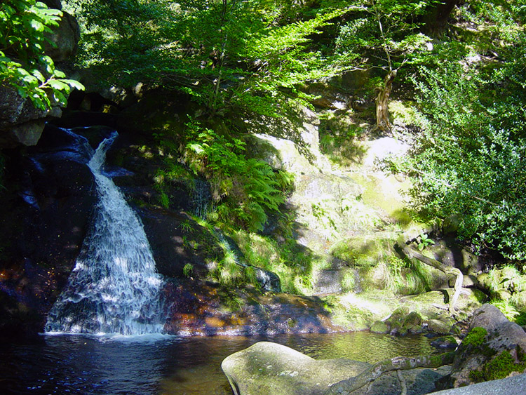 Dicken Dyke Waterfall