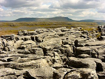 Looking across Moughton Scars to Pen-y-ghent
