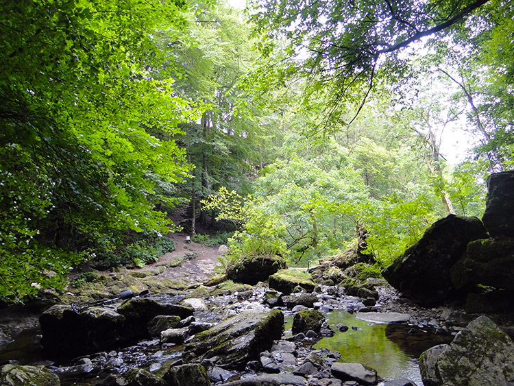 The hidden dell of Catrigg Force