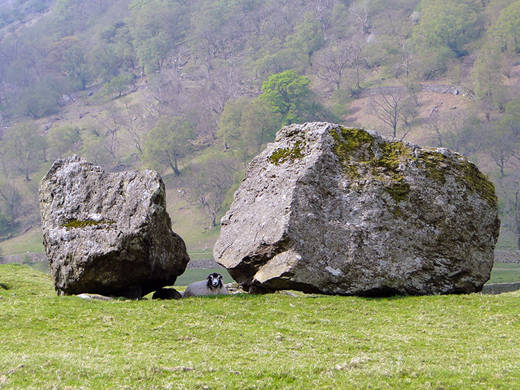 Taking shelter from the sun in the Erratics
