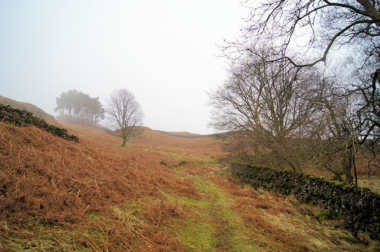 Into the open on Loughrigg Fell