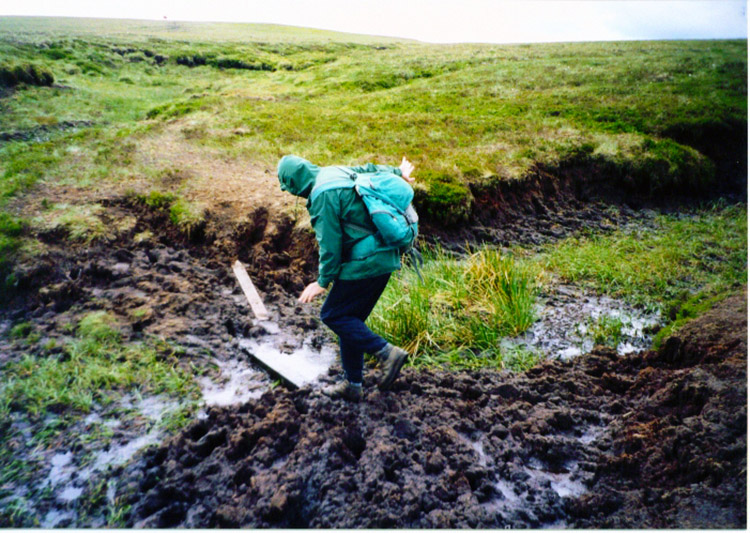 Bogs on the Pennine watershed