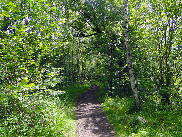 Track past Valley International Park, Crossford