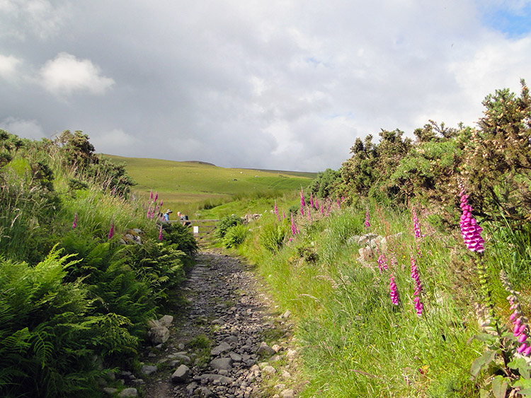 Walking to Caldbeck Fells