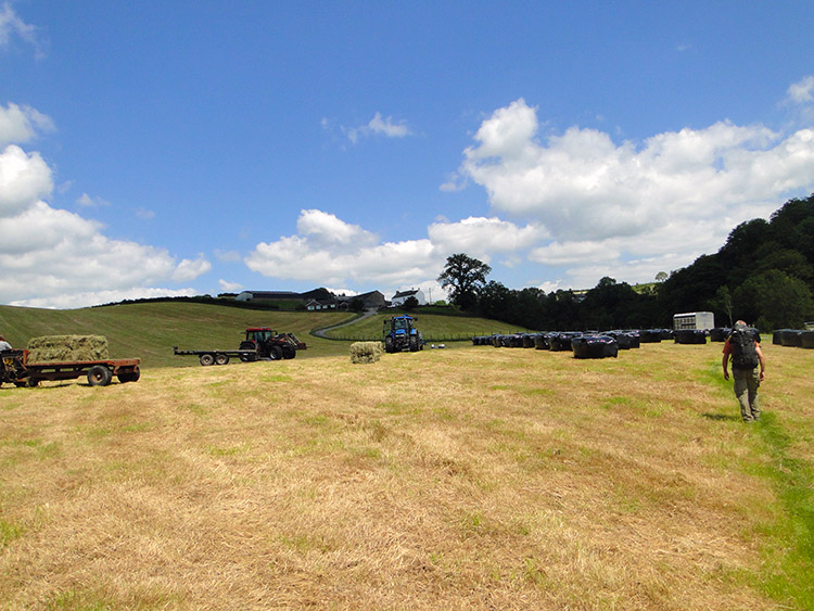 Farming on the Dales Way