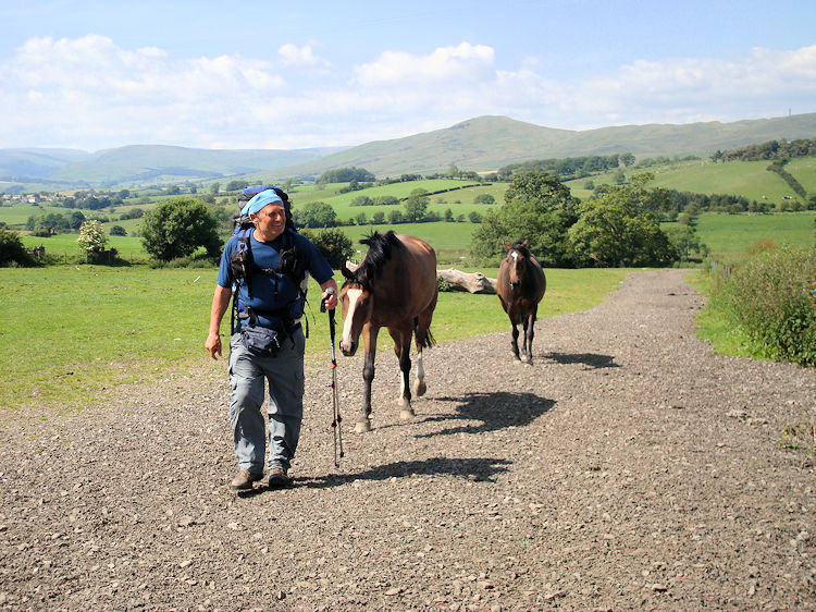 Walking with new friends