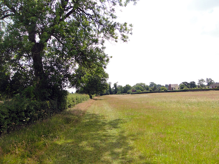 Countryside near Cresswell Green