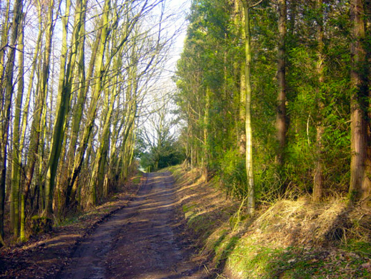 The path down to Lindley Wood Reservoir