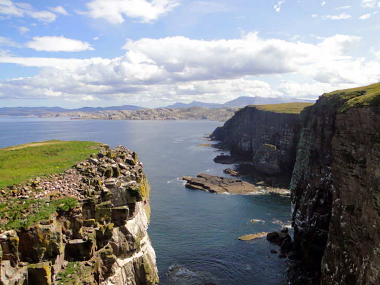 Wonderful cliffs of Handa and north west Scotland