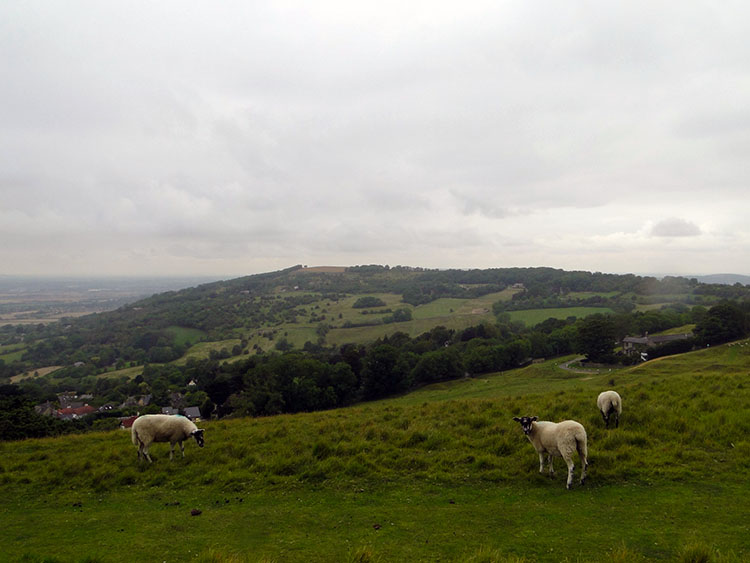 Looking across to Oxenton Hill