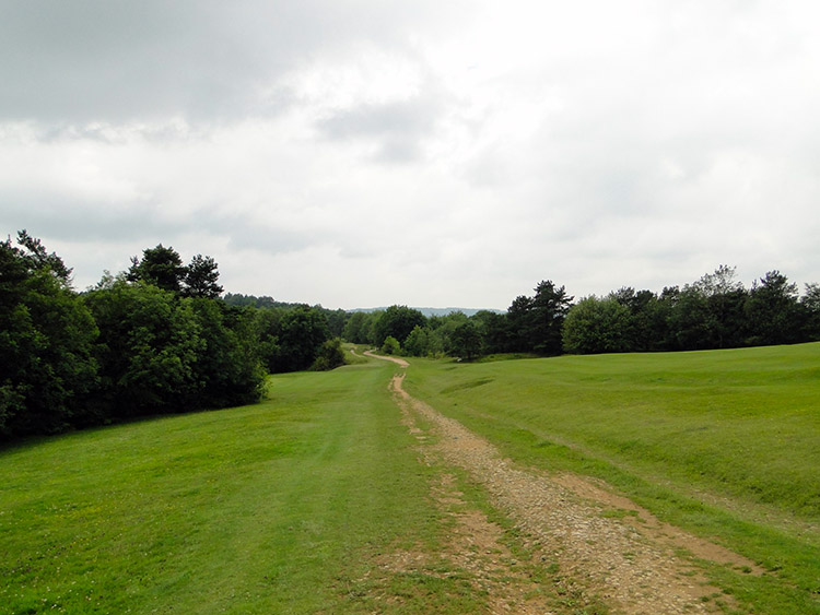 Parkland near Painswick Beacon and Golf Course