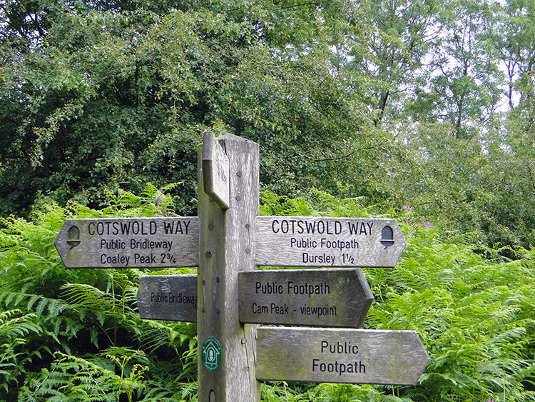 Paths in all directions near Coldharbour Farm