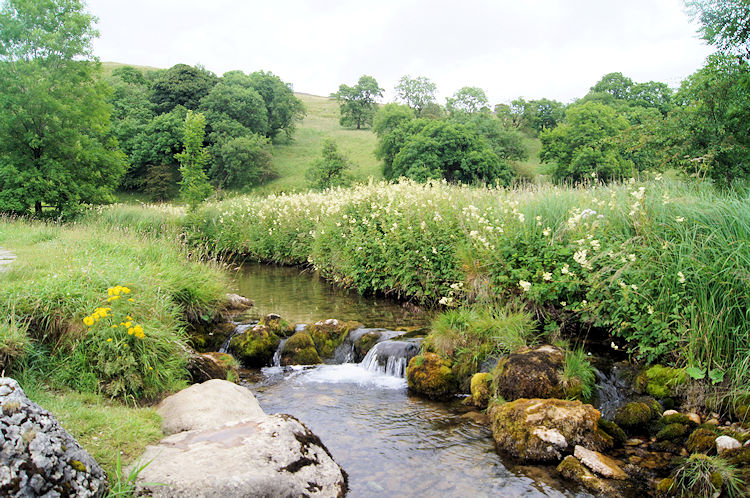 Malham Cove, Malham Tarn and Gordale Scar Walk