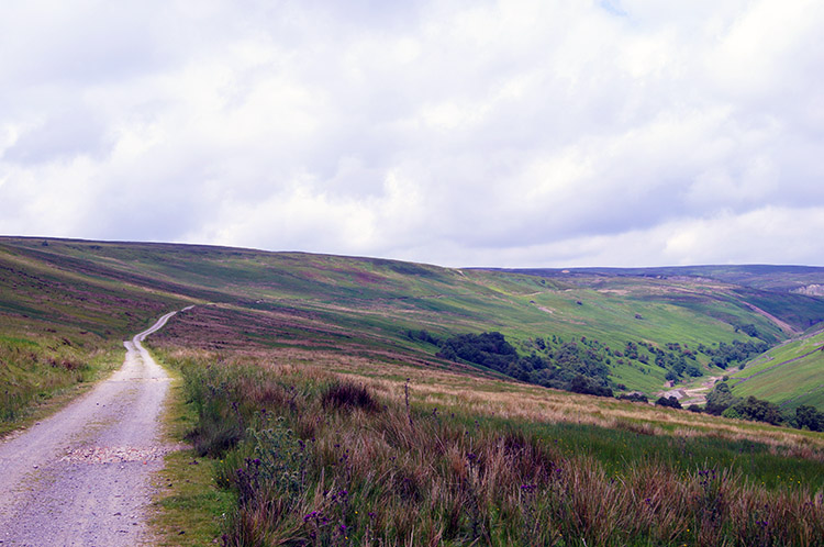 The track to Botcher Gill Gate