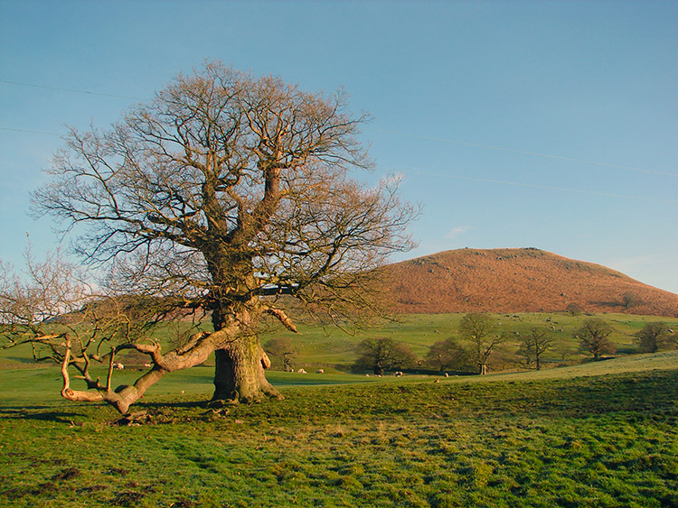 South Nab will have to be climbed one day