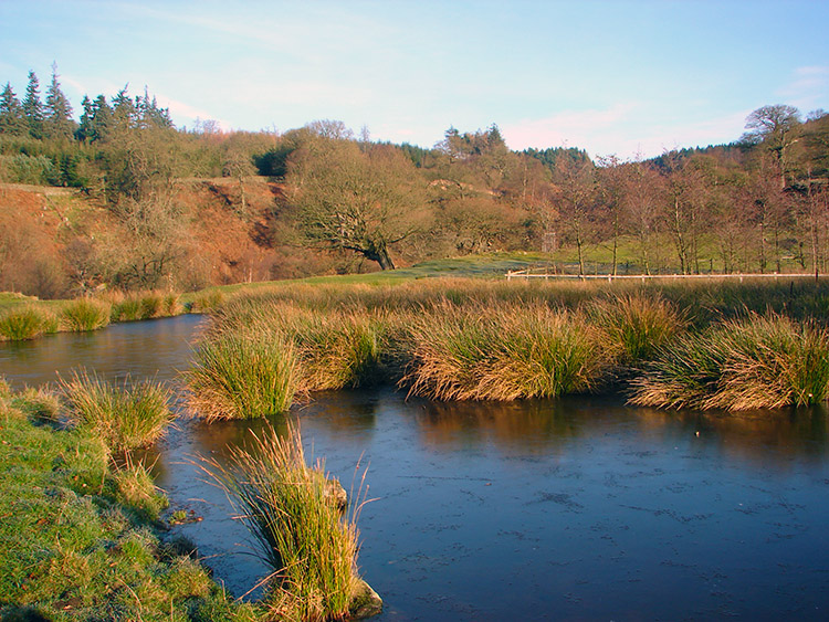 A frozen pond gives away the temperature