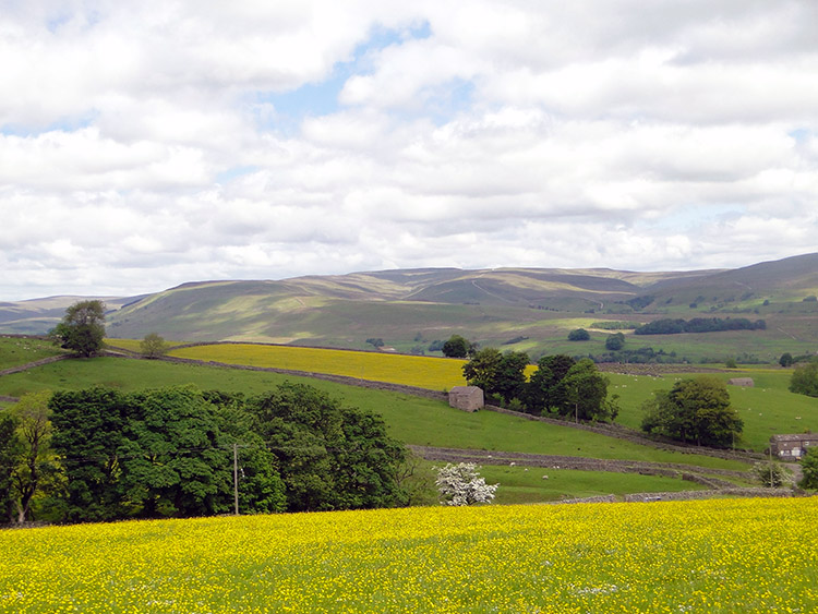 Great Shunner Fell as seen from Gaudy Lane