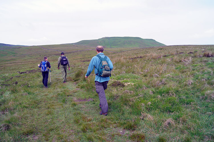 Thornton Rust Moor