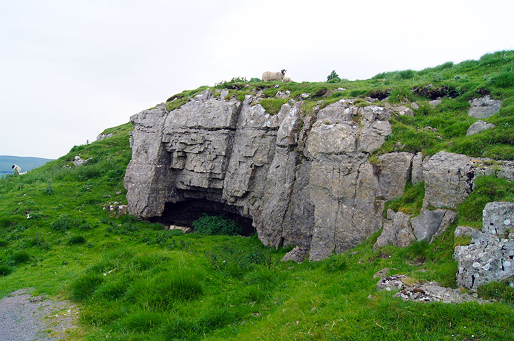 Limestone beside Carpley Green Road