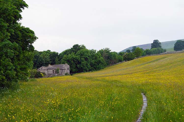 Walking from Askrigg to Mill Dam