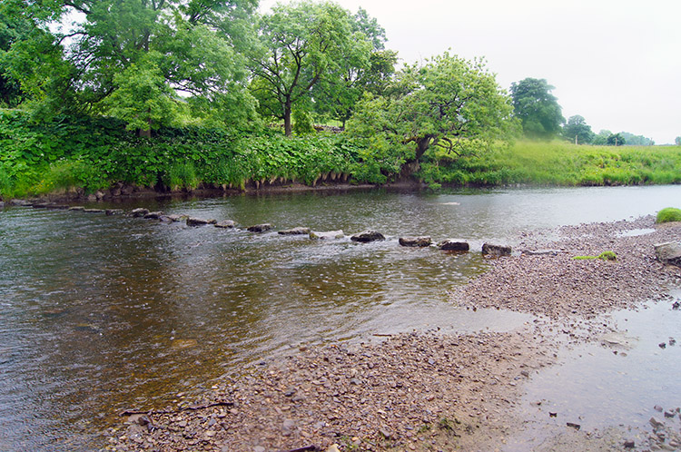 The stepping stones over the Ure near Nipe Lane