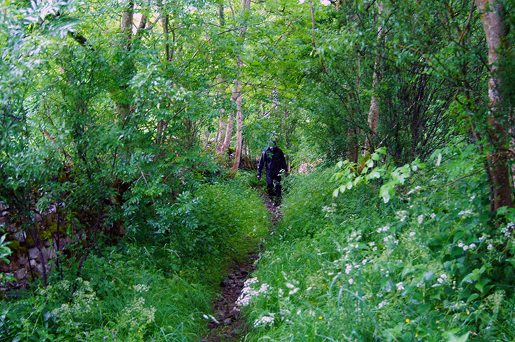 Making our way up Nipe Lane to Thornton Rust