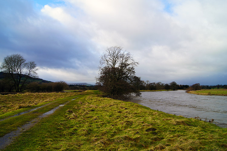 River Ure near Jervaulx Abbey
