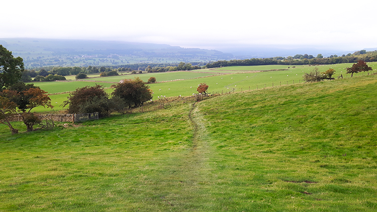 Crossing fields to the Scars