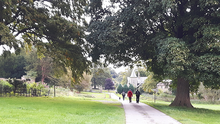 Near Wensley Hall