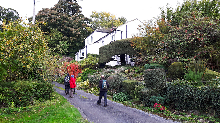 Wow, what a lovely garden