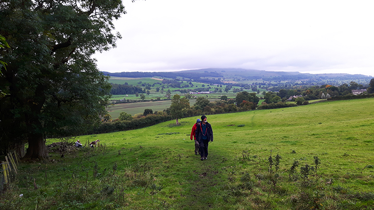 Countryside east of Wensley