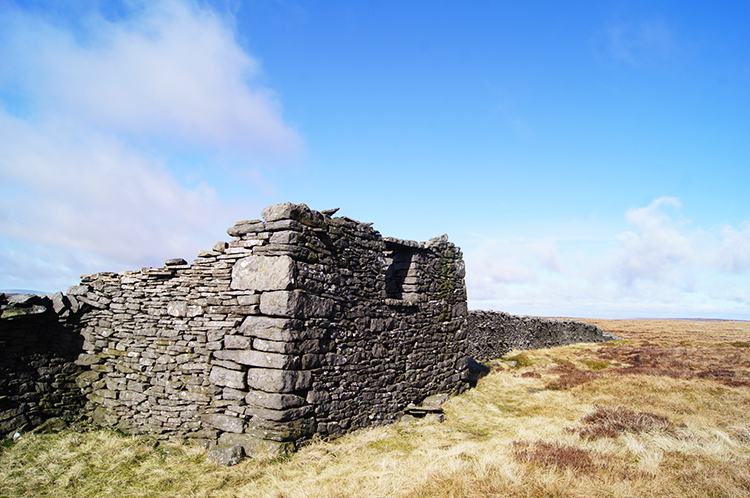 Sheep shelter on Birks Fell