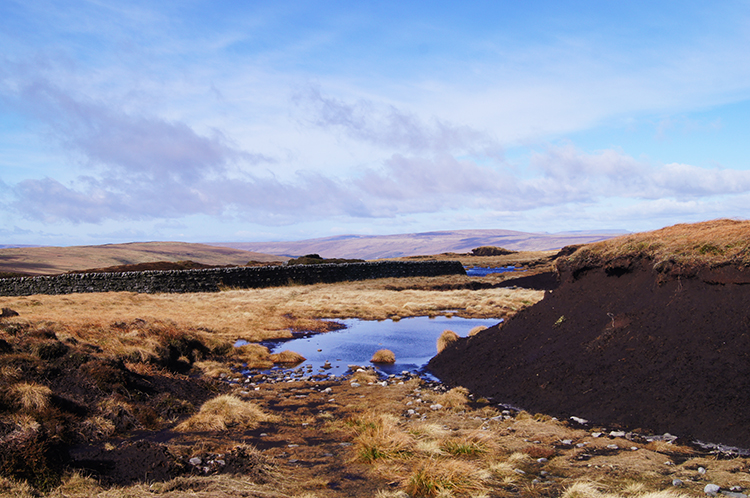 Peat Hags on Moss Top