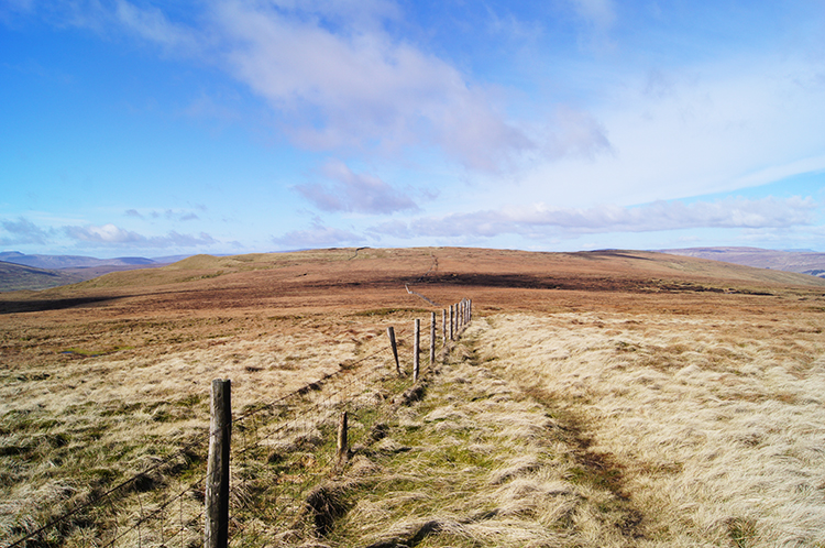 Picket fence from Moss Top to Sugar Loaf