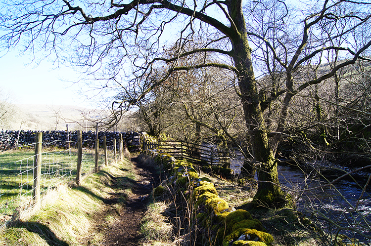 The Dales Way path through Langstrothdale