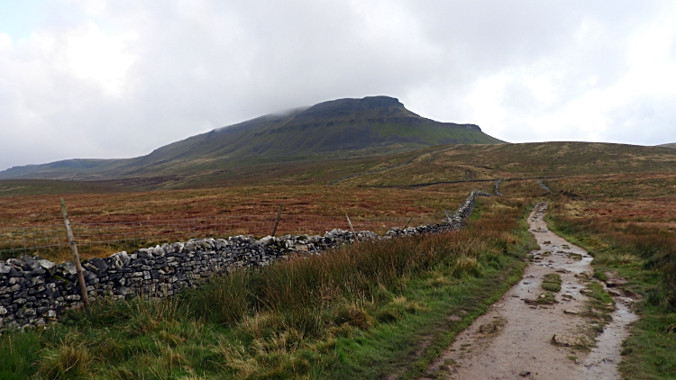 View to Pen-y-ghent from Brackenbottom Scar