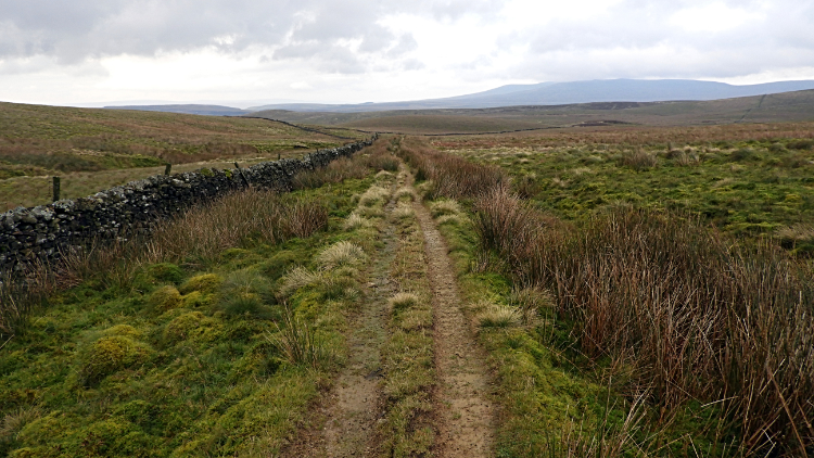 The path across Horton Moor