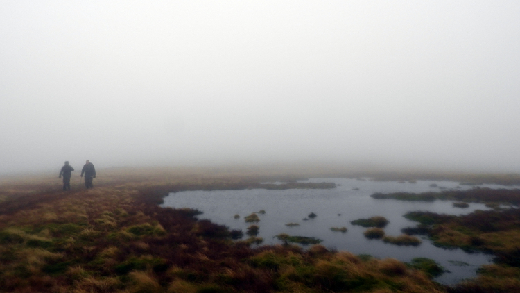 Small tarn or big puddle on Middleton Fell