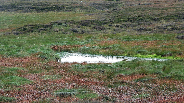 The underwhelming puddle of Priest's Tarn