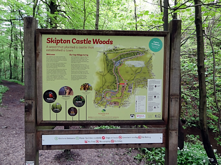 Skipton Castle Woods