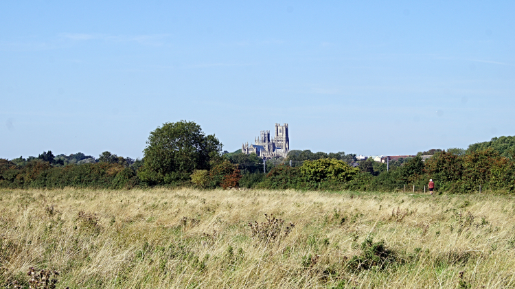 View to Ely Cathedral from near Cuckoo Bridge
