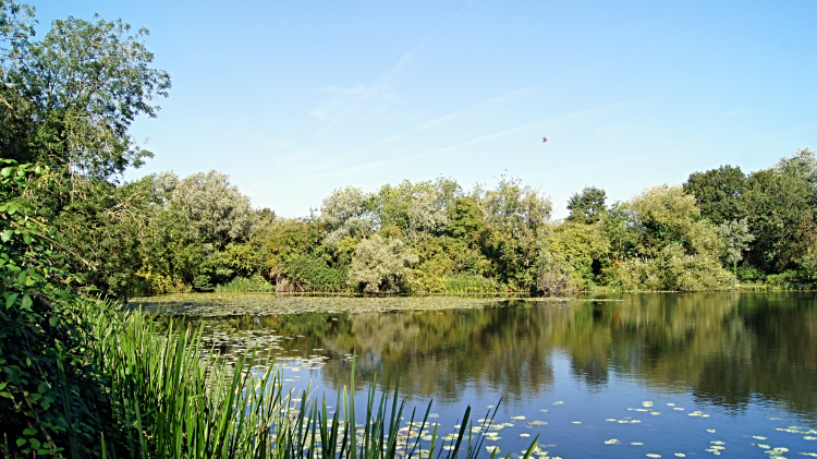 Roswell Pits Nature Reserve