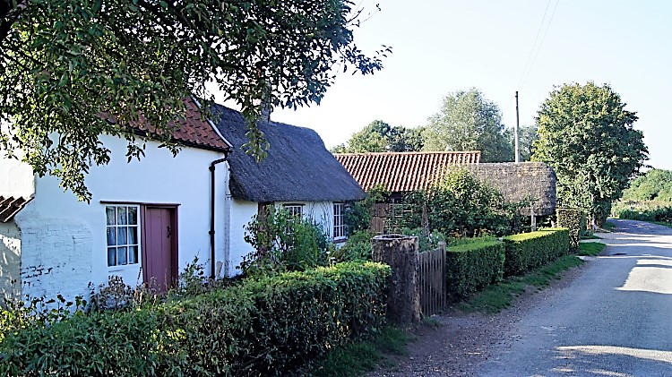 Lode Lane Fen Cottage