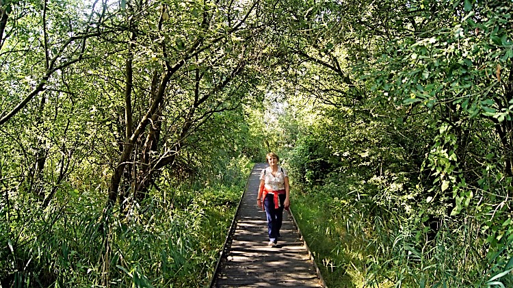 Mrs B enjoying the walk