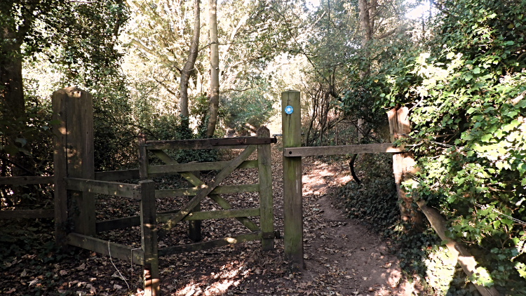 Gate to Earlham Plantation