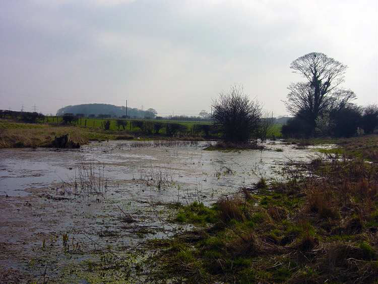 Waterlogged field at Beverley Parks