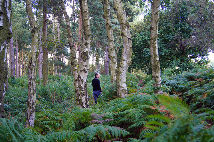 John explores the woodland