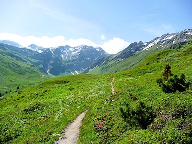 Fantastic Alpine walking