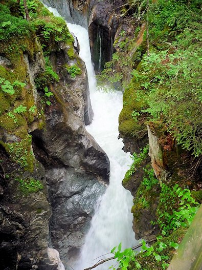 Limestone Gorge