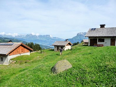 Alpine clearing and refreshments